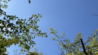 巻き爪補正UPジェルってどんなことをするの？